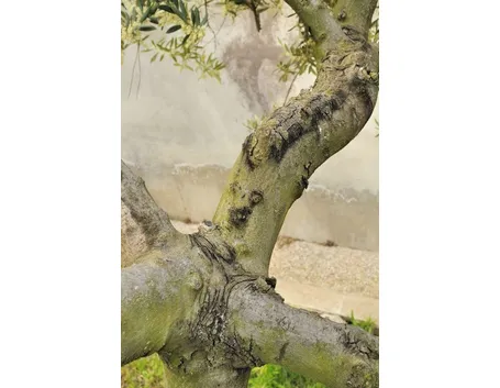 tubercolosi
