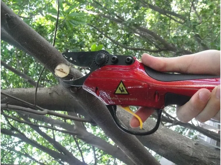 Forbici elettriche