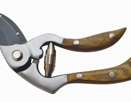 forbici potatura