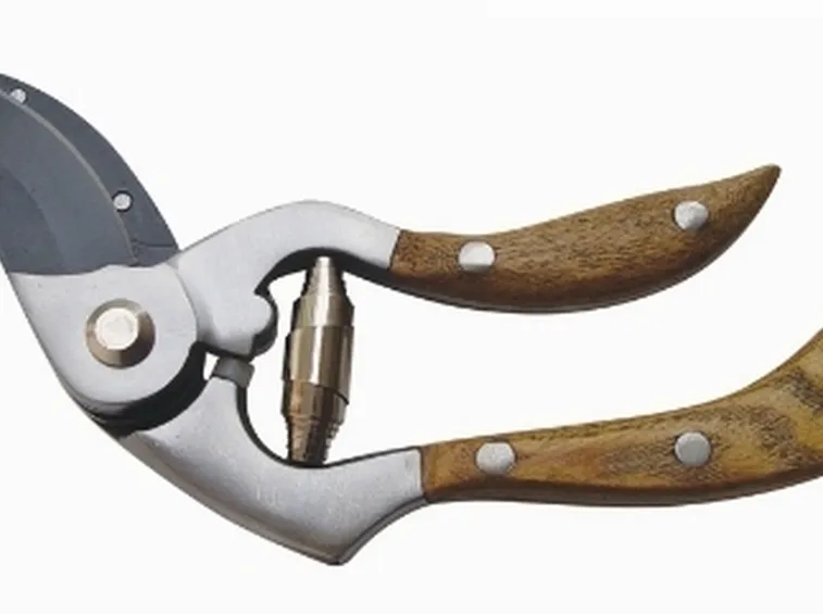 forbici potatura