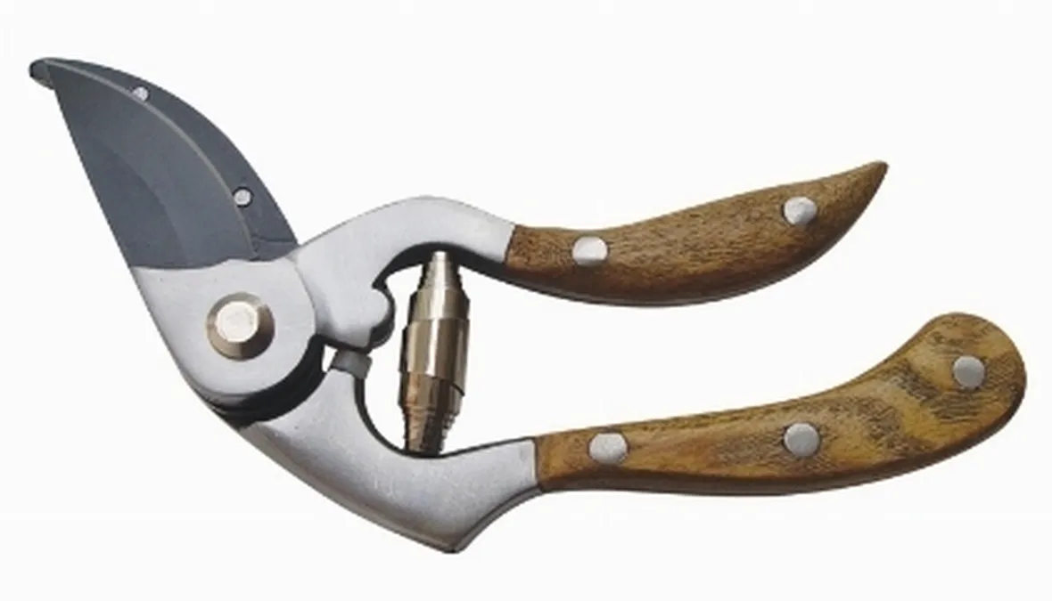forbici potatura