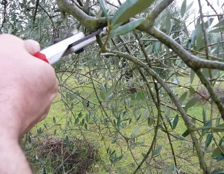 Alcune operazioni di base