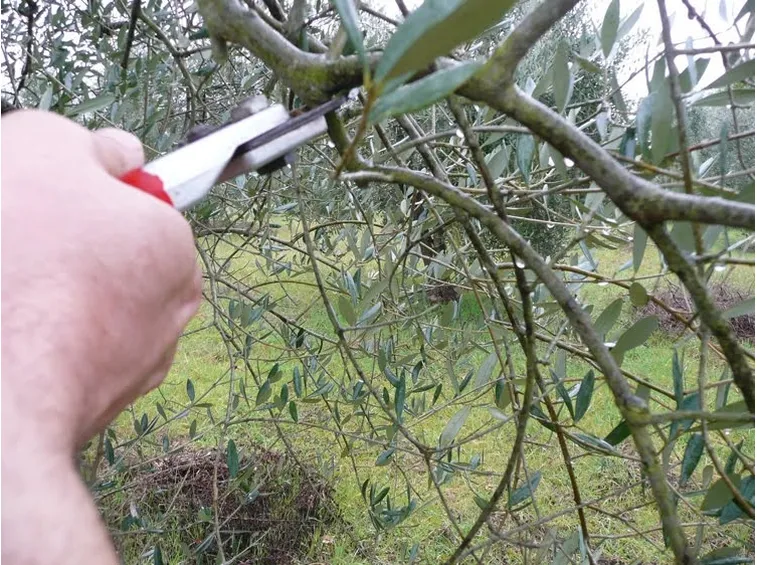 Alcune operazioni di base
