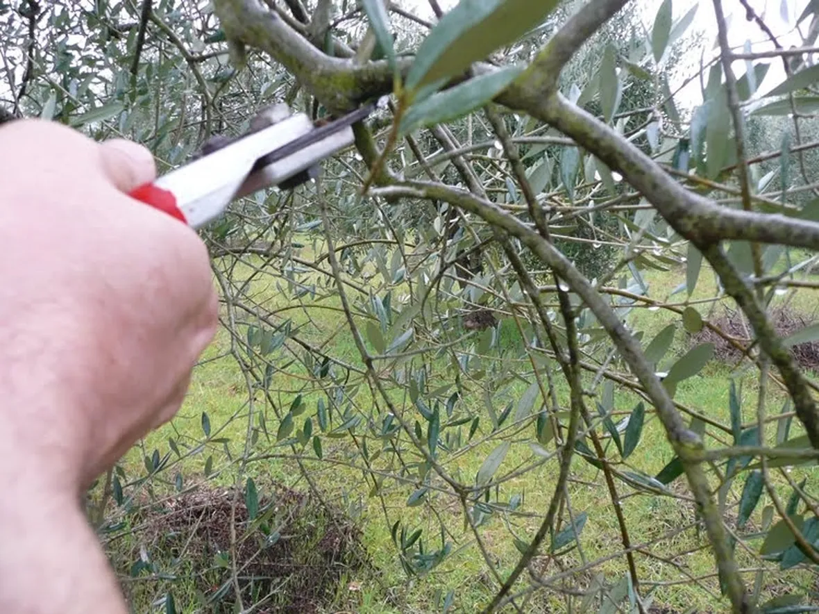 Alcune operazioni di base