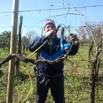 Operazione di potatura della vite