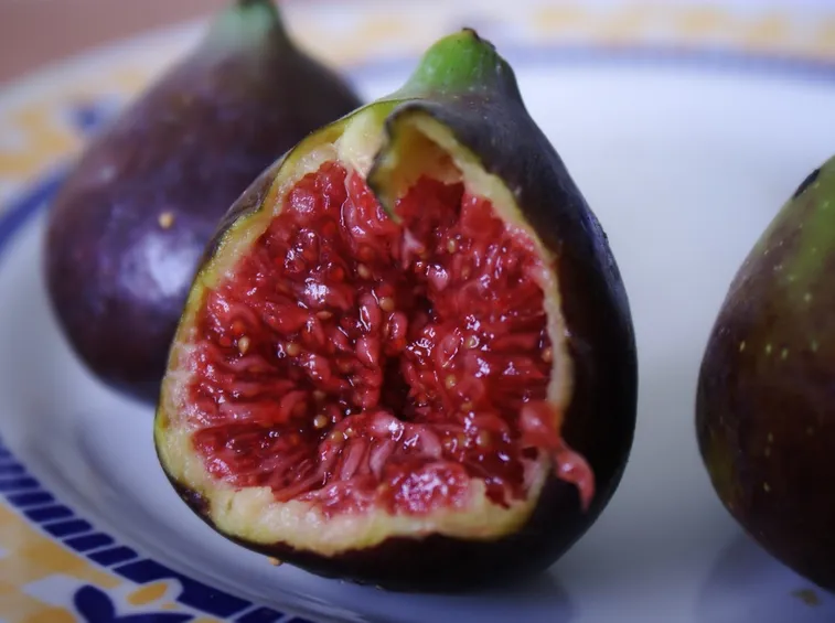 Fiore fico