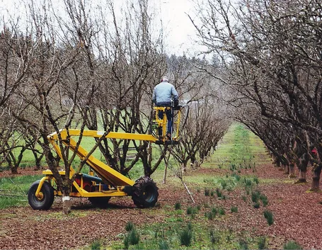 Potatura piattaforma elevabile