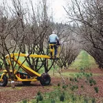 Potatura piattaforma elevabile