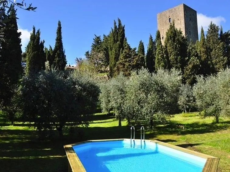 Giardino con olivi mediterranei