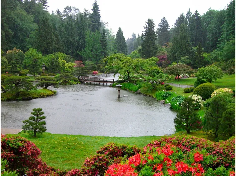 Piante ornamentali