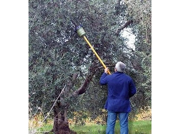 Tecnica della pettinatura.