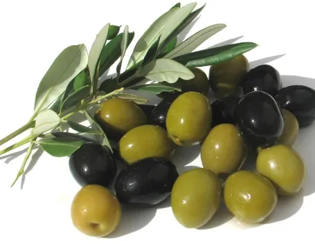 I frutti dell'olivo