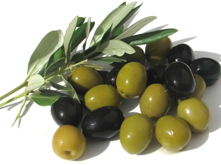 I frutti dell'olivo