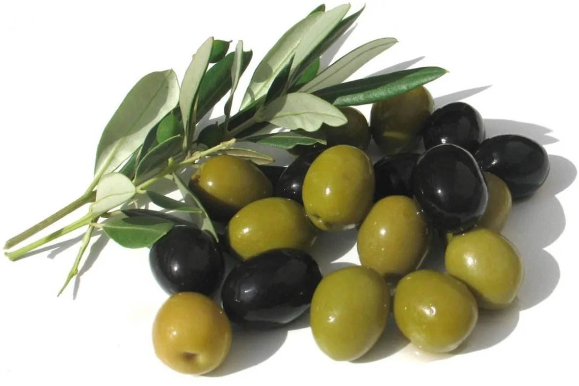 I frutti dell'olivo