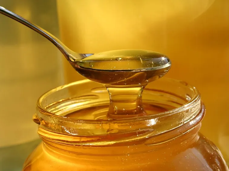 Olio essenziale di eucalipto