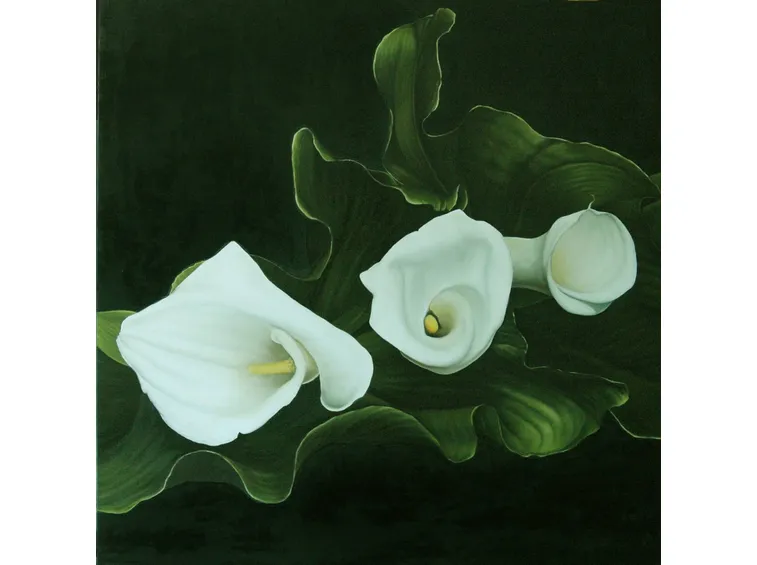 Fiori calle
