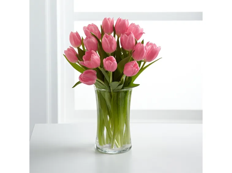 Tulipani recisi