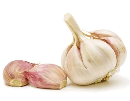 Testa d'aglio e bulbilli
