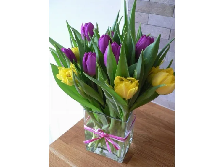 tulipani3-1