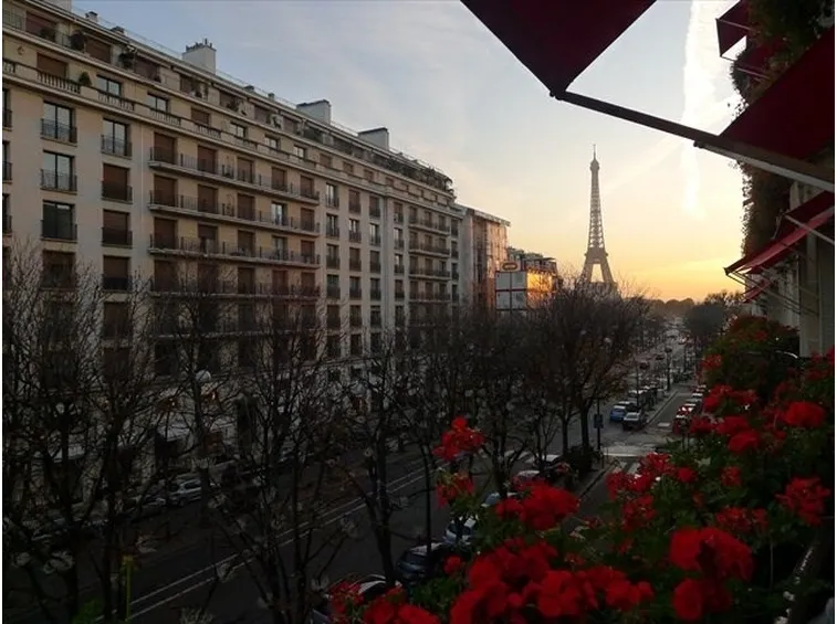 Gerani a Parigi