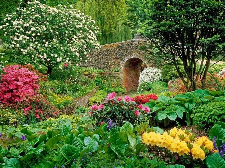 Un giardino