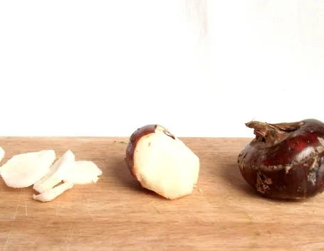 Castagne d'acqua
