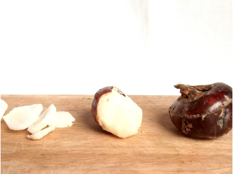 Castagne d'acqua