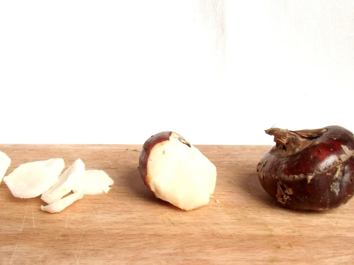 Castagne d'acqua