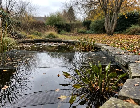 La pulizia autunnale dello specchio d'acqua prima del freddo
