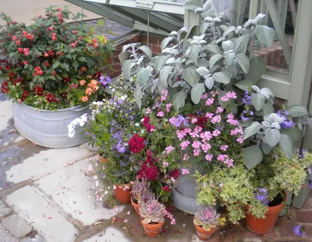 Vasi di gerani su terrazza