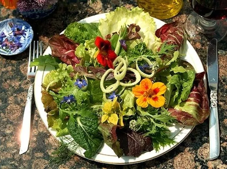 primule e insalata