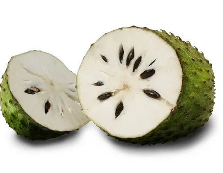 Graviola aperta