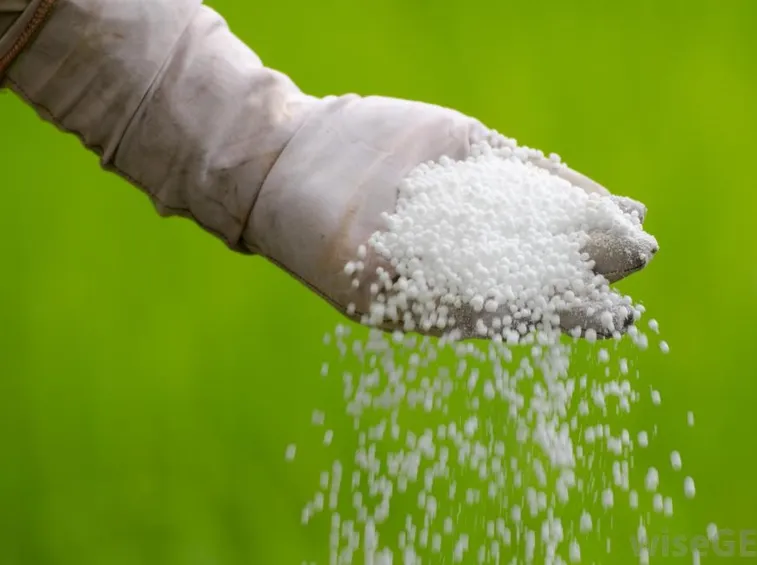 Fertilizzante granulare