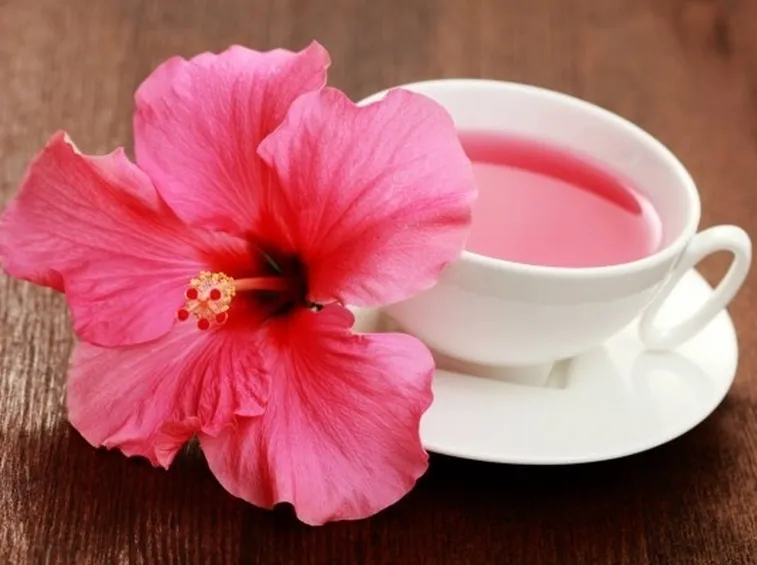 tisana di hibiscus;