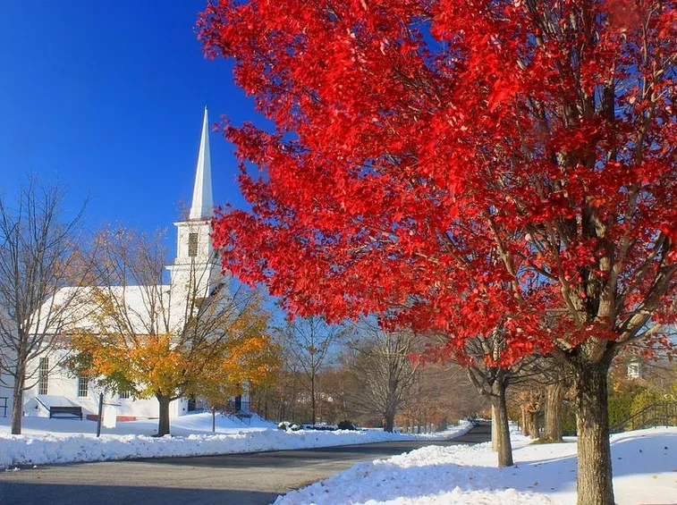 Acero rosso sotto la neve