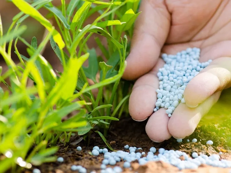 Fertilizzante a base di macroelementi