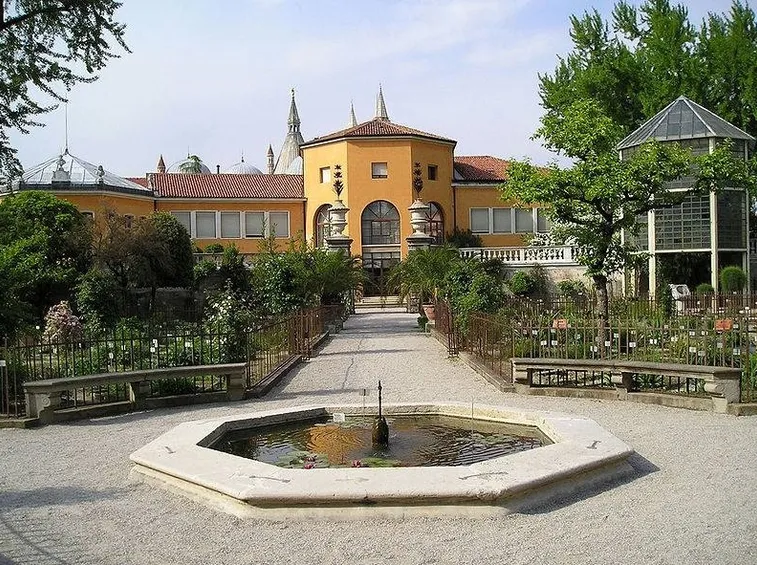 L’orto botanico di Padova
