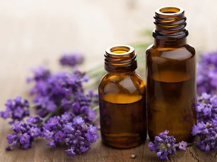 L’olio di lavanda