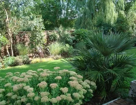 Palme nei giardini