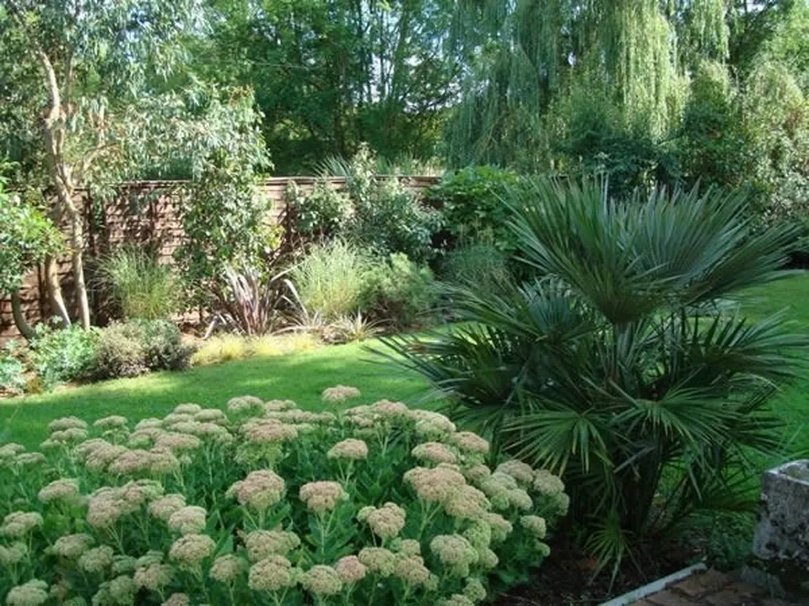 Palme nei giardini