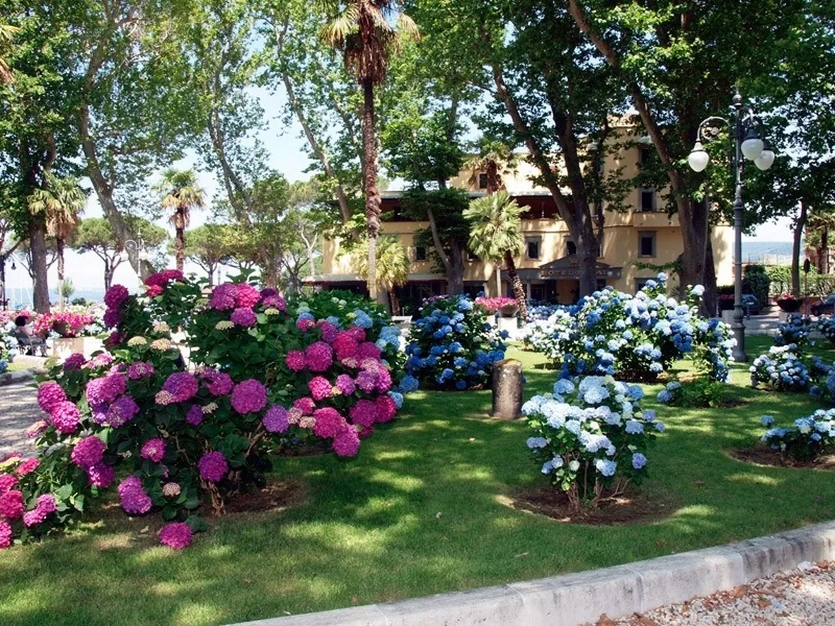 Aiuole di ortensie in giardino