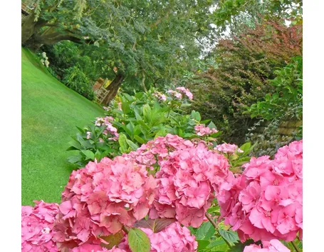 Scorcio di un meraviglioso giardino