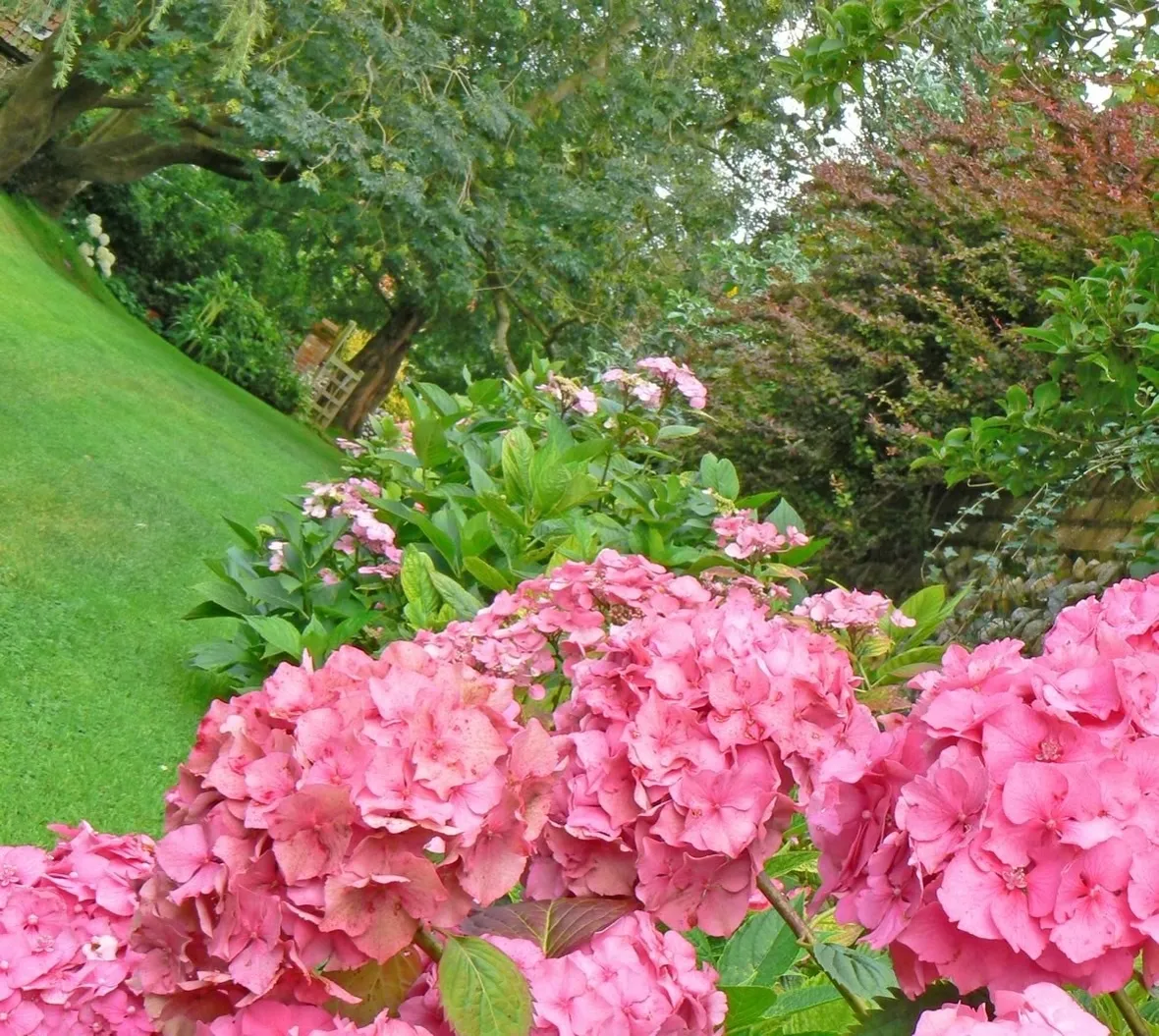 Scorcio di un meraviglioso giardino