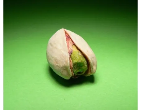 seme di pistacchio