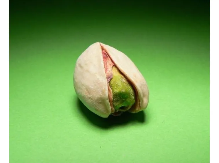 seme di pistacchio