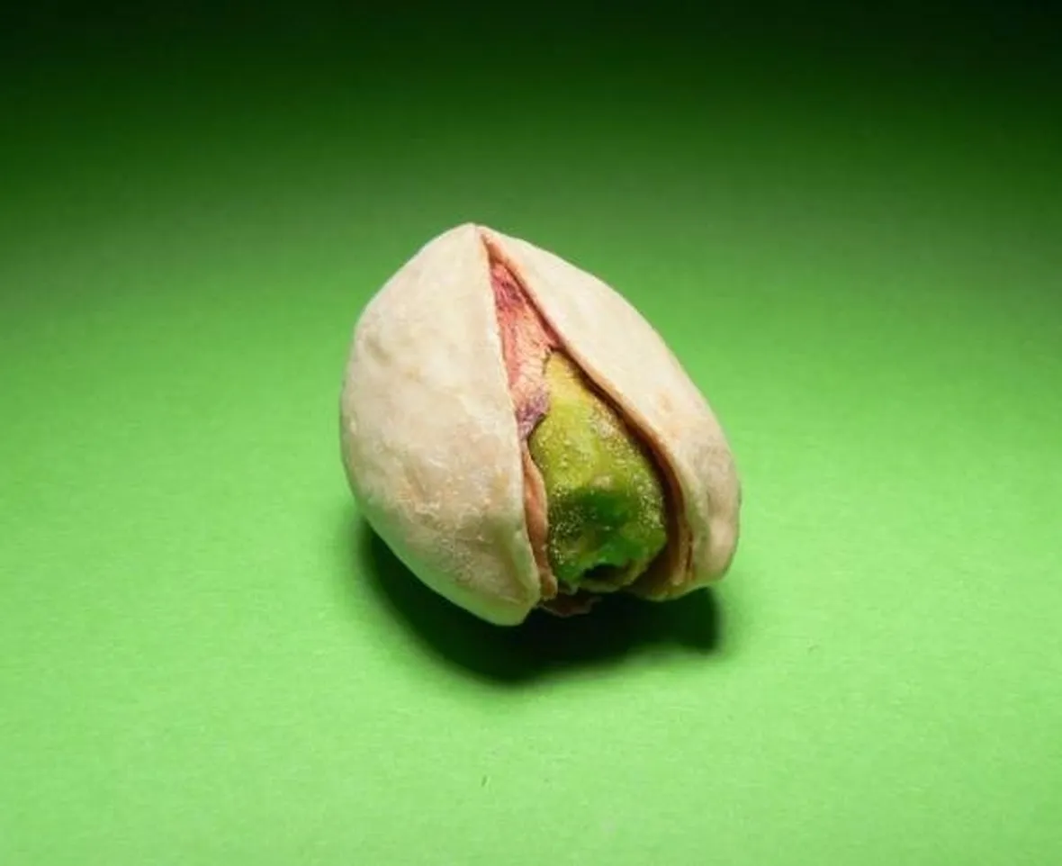 seme di pistacchio