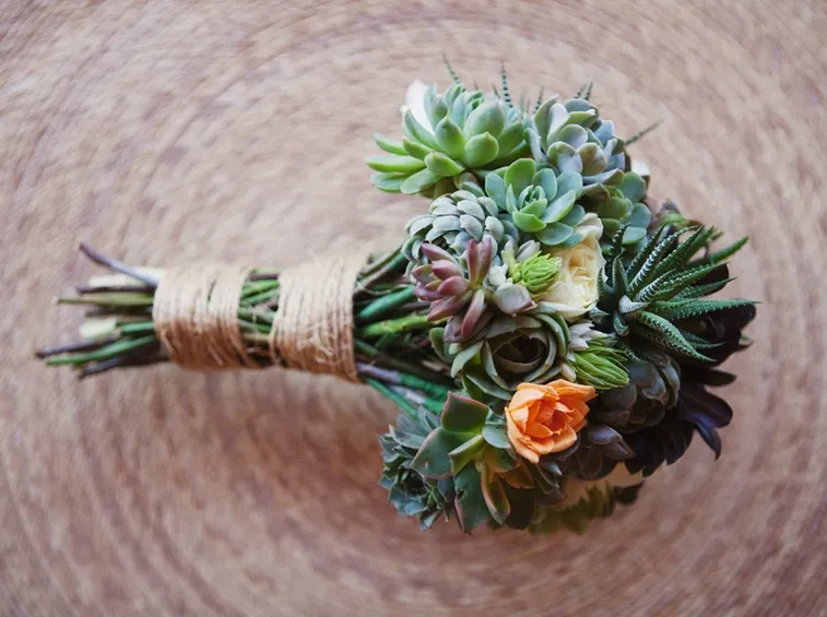 Bouquet di piante grasse