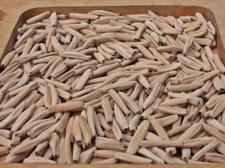 Semi di rosa del deserto