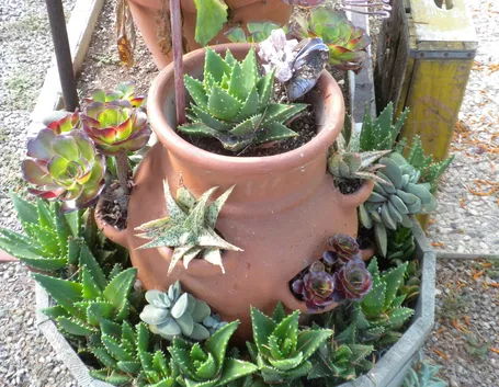 Vaso di terracotta molto decorativo