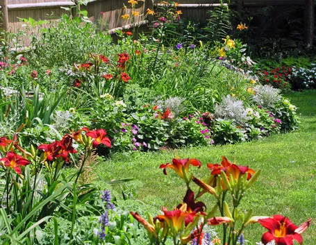 Giardino a pieno sole